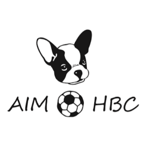 Logo de Auberoche Isle Manoire Handball Club