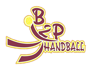 Logo de Bergerac Perigord Pourpre Handball 2