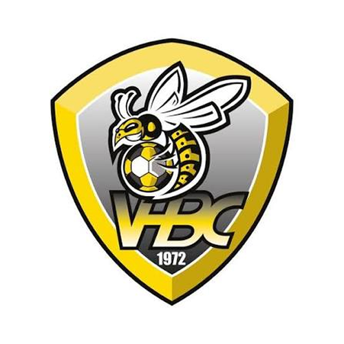 Logo de Villenave HBC 2