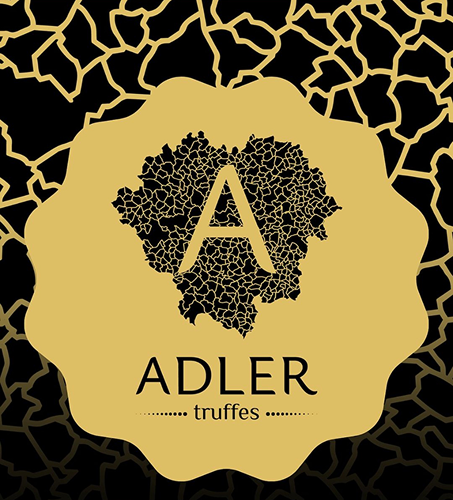 Logo de Adler, partenaire du Sarlat Handball Périgord Noir